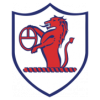 https://img.czxbh.net/img/football/team/11fb72f7b5eacfc881ee11bac75871fa.png