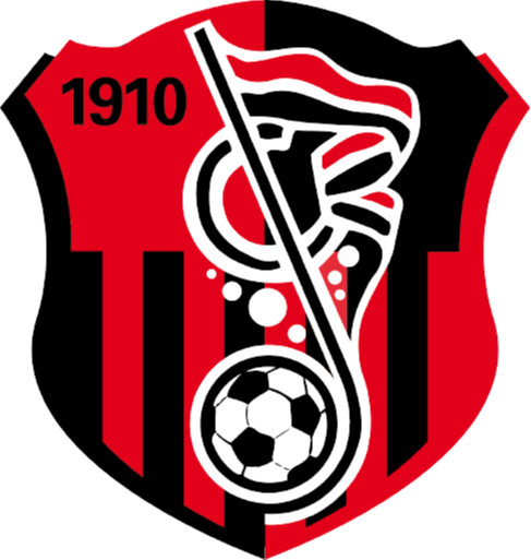 https://img.czxbh.net/img/football/team/93e018cff141af47eae05333ac19a65d.png